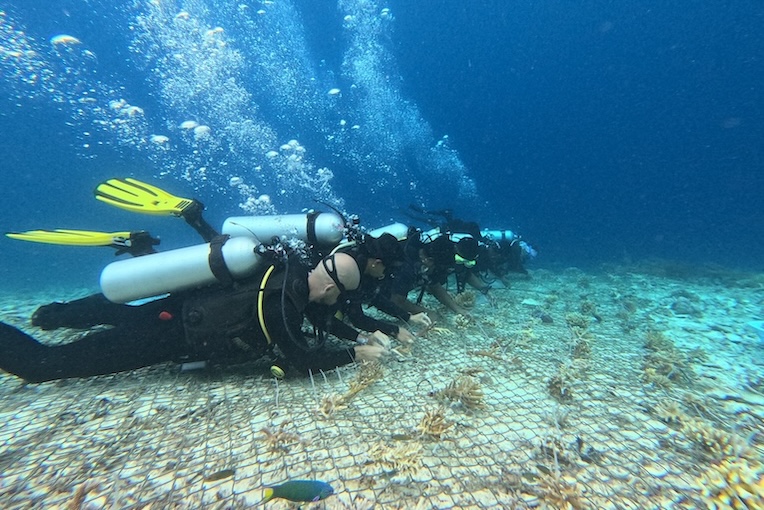 Regenerative Tourism Reef Restoration Volunteers Raja Ampat The SEA People Yaf Keru 
