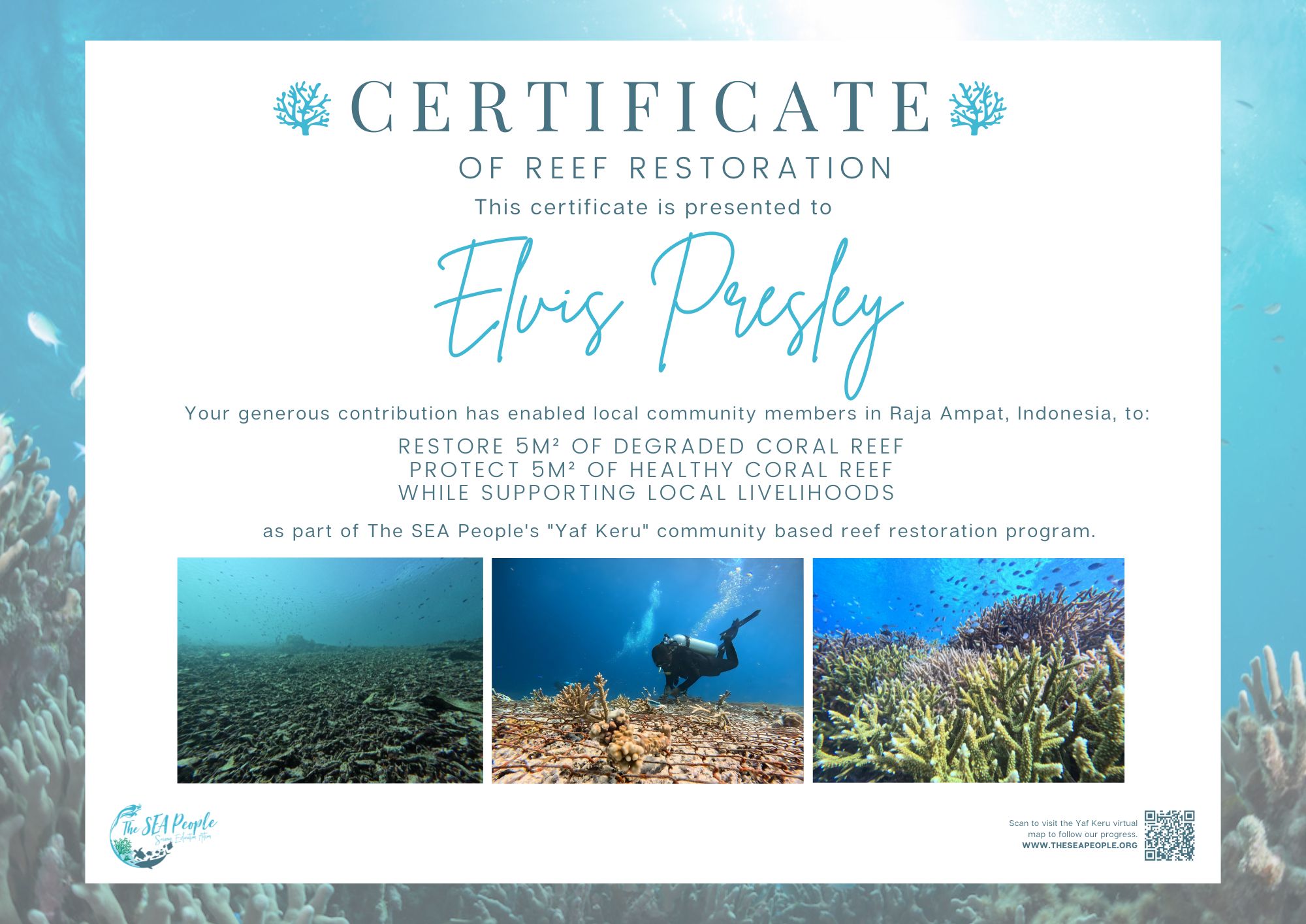 Yaf Keru Reef Restoration Gift Certificate