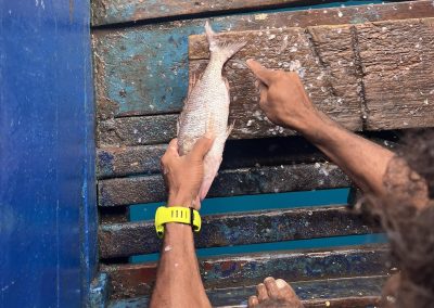 Traditional Fishing Raja Ampat | Yaf Keru Reef Restoration | The SEA People | Conservation Raja Ampat
