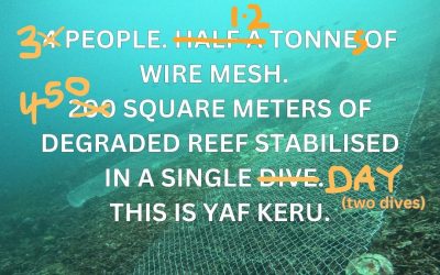 Scaling Up Reef Restoration—Be Part of the Impact