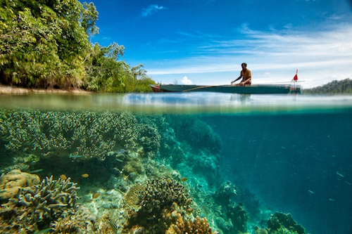 Contact The SEA People Orang Laut Papua