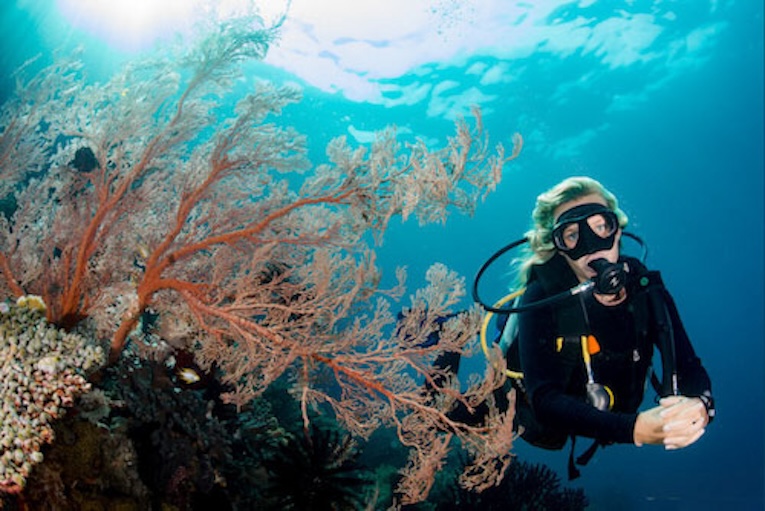 The SEA People Scuba Diving School Training Certification for local community. The SEA People Yayasan Orang Laut Papua Conservation Raja Ampat.