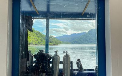 Day Nine: The SEA People Diaries | By Greg Johannes