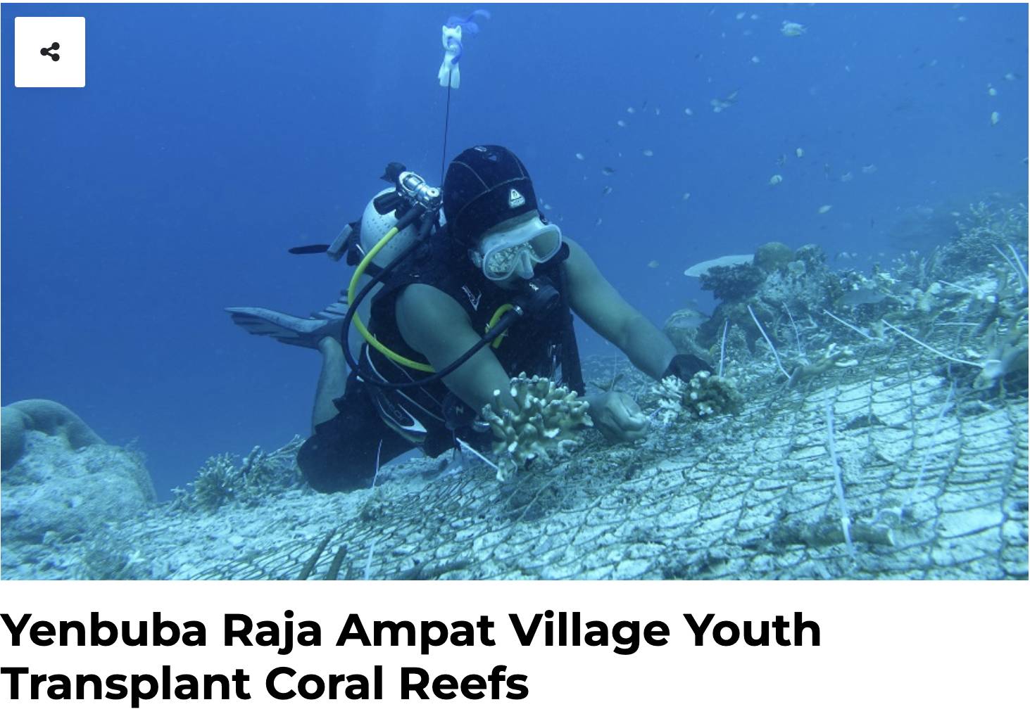 Indonesia Maju | The SEA People