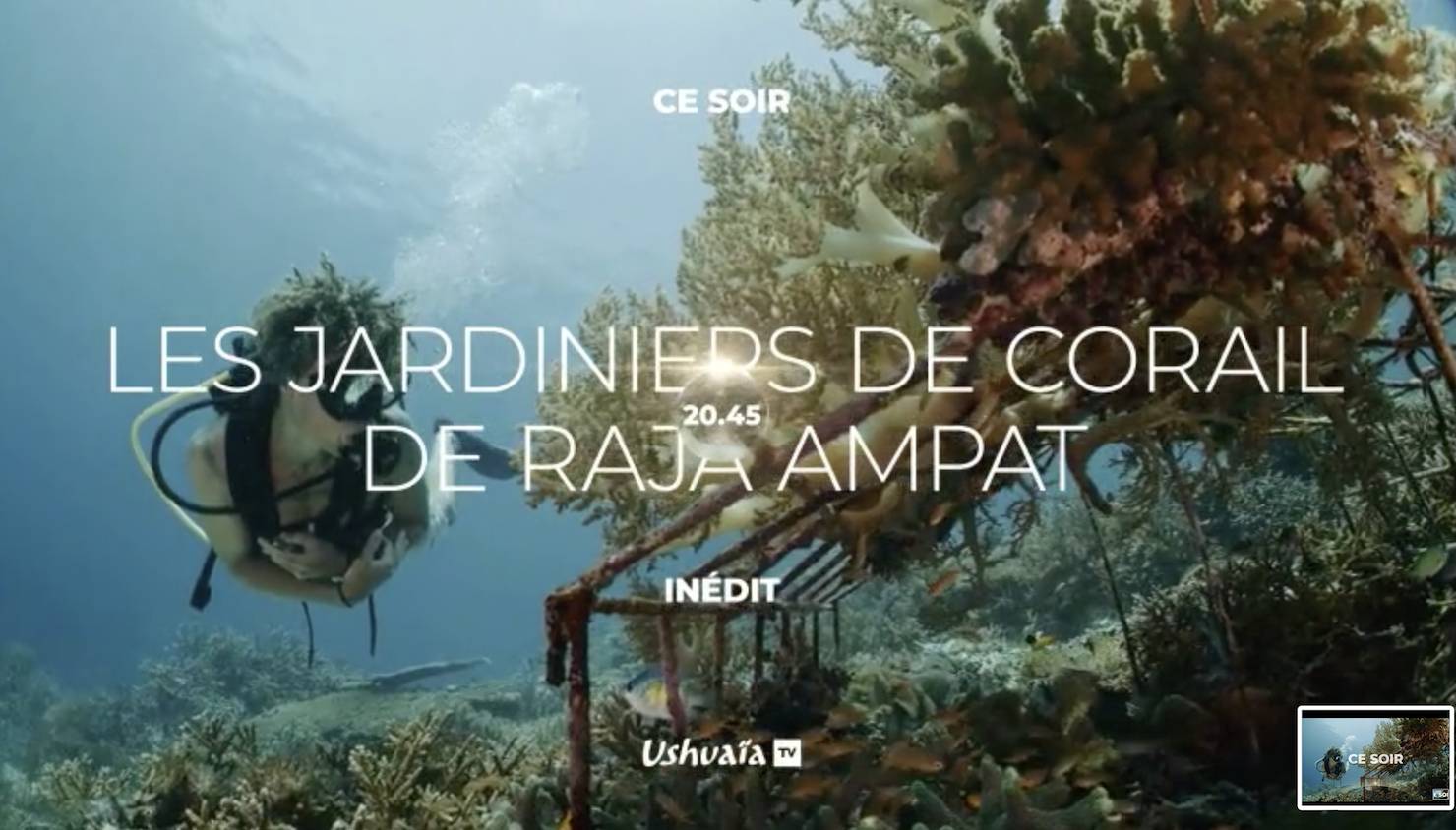 La Petite Journal | The SEA People