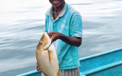Day Five: The SEA People Diaries | By Greg Johannes