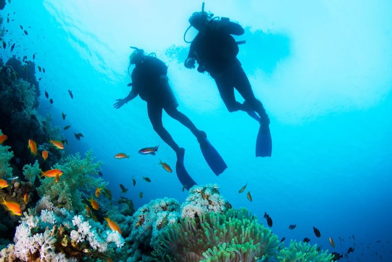 The SEA People Yayasan Orang Laut Papua Conservation Raja Ampat