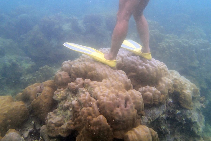Raja Ampat Standing on Coral Reef Restoration. The SEA People Orang Laut Papua. Conservation Raja Ampat.