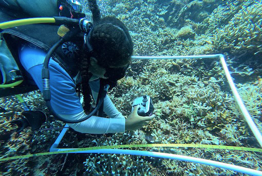 Yaf Keru Reef Restoration and Conservation Raja Ampat Monitoring