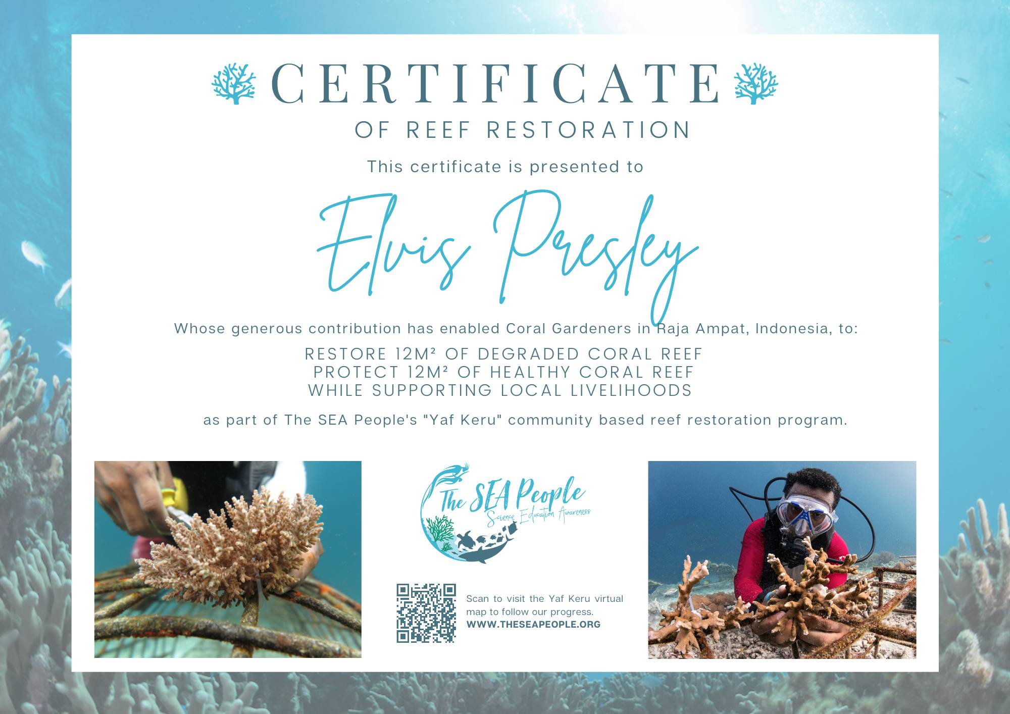 Yaf Keru Raja Ampat Reef Restoration Certificate - The SEA People Orang Laut Papua