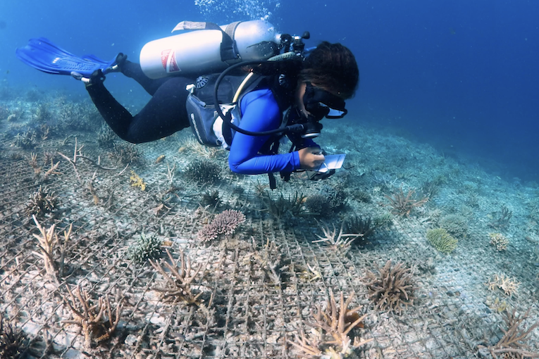 Yaf Keru Dive Guards Monitoring Reef Health | The SEA People Conservation Raja Ampat